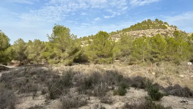 zicht op de Sierra de Benejúzar