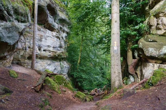 pad op de wandeling naar de kuelscheier