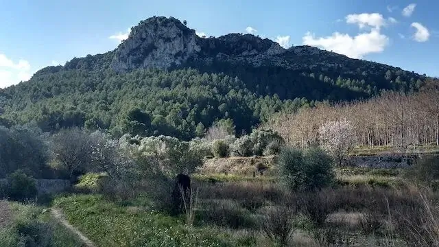uitzicht op het landschap