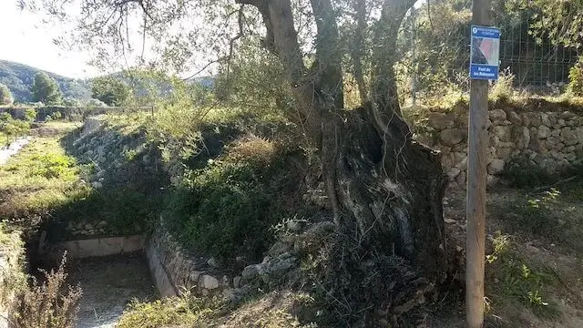 font de la Xopera