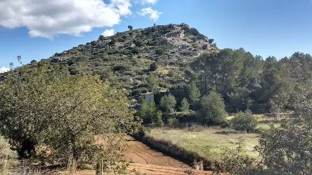zicht op een berg in de omgeving van orba