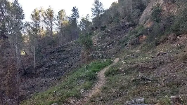 smal bergpad