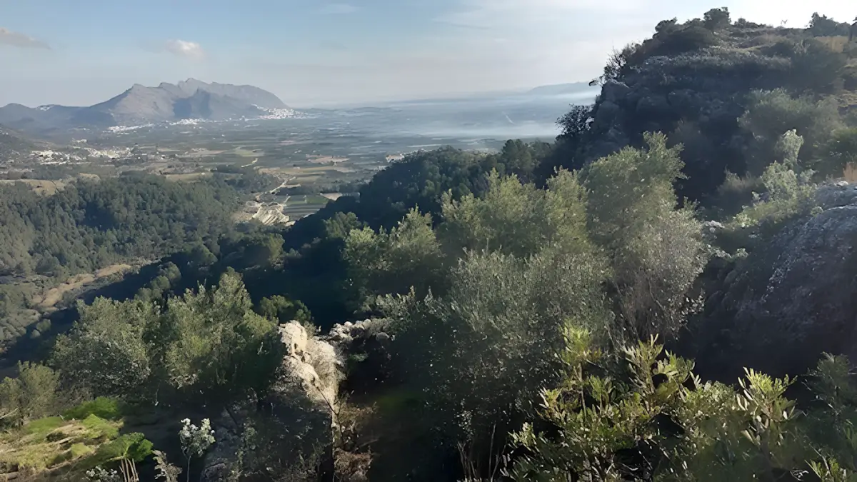 Castell de les Atzavares