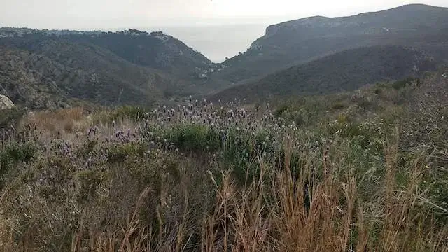 zicht op het natuurgebied la granadella