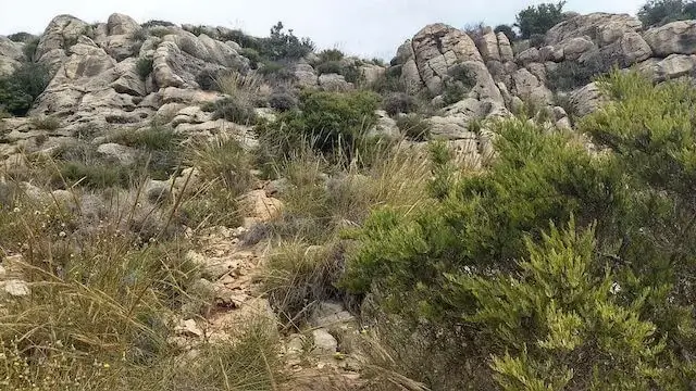 steil bergpad omhoog