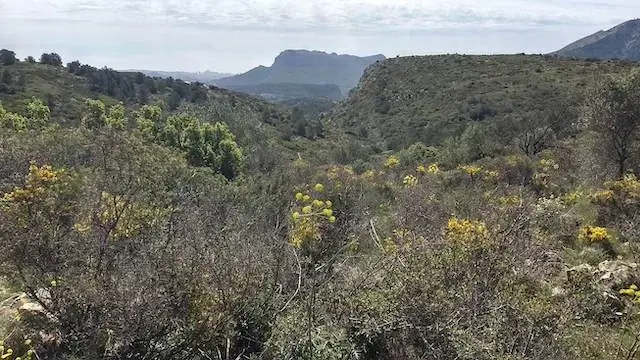 mooi uitzicht op het achterland