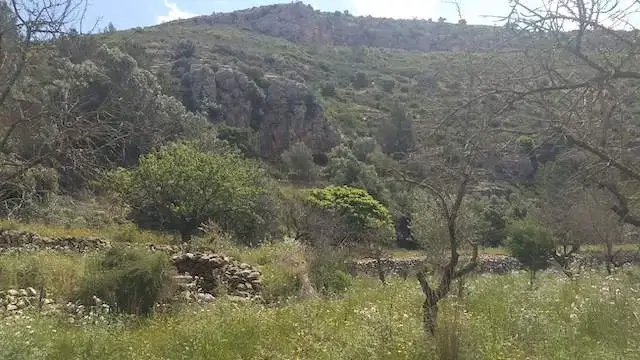 uitzicht op een berg met op de voorgrond de typische stenen muurtjes