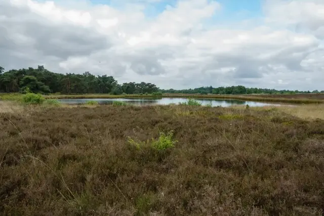 ven in het hijkerveld