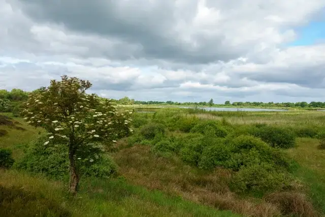 hijkerveld