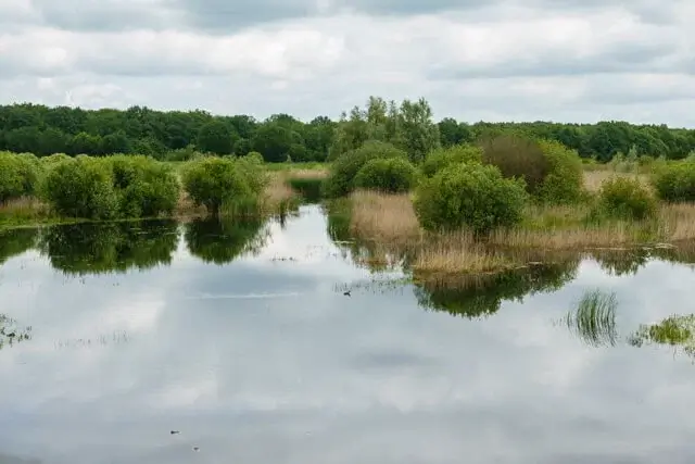 zicht vanuit de kijkhut
