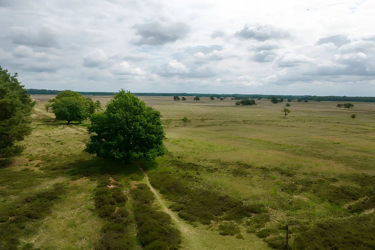 uitzicht op het doldersummerveld vanop de uitkijktoren