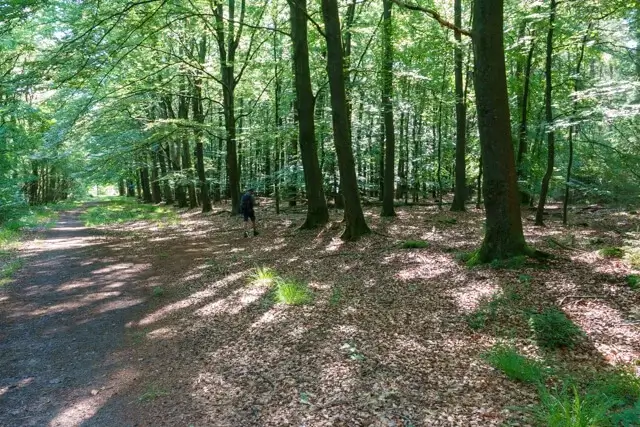 brede onverharde weg