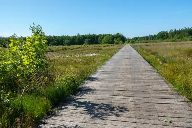 vlonderpad aan het grolloërveen