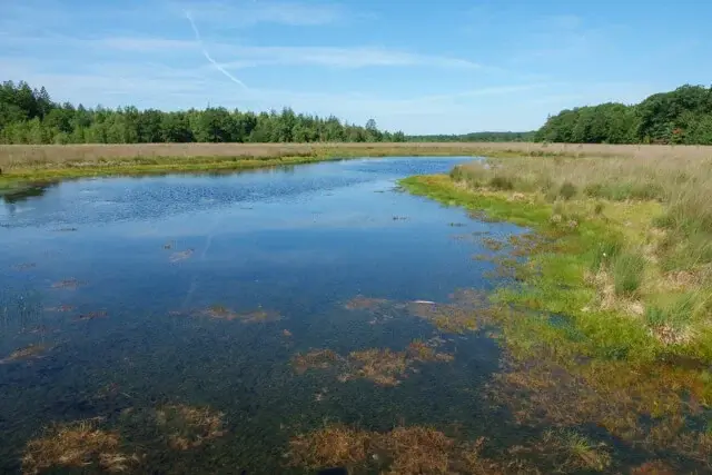 grolloërveen