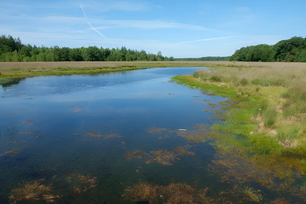 grolloërveen