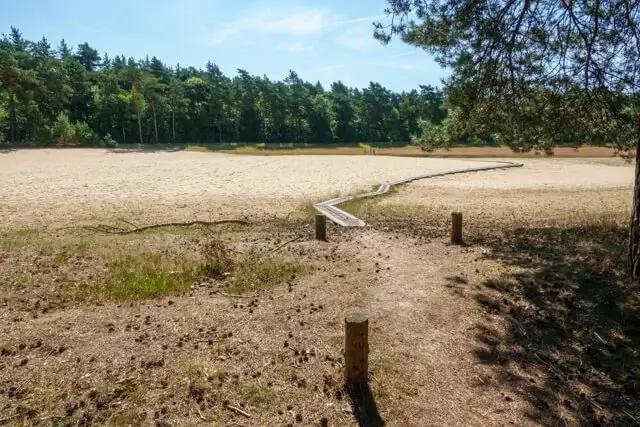 vlonderpad over een zandvlakte aan boswachterij grolloo