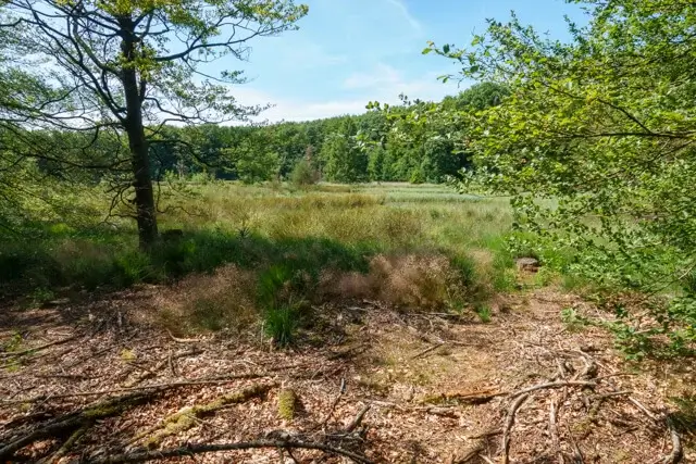 mooi doorkijkje