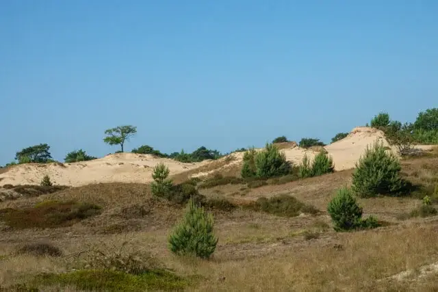 Aekingerzand