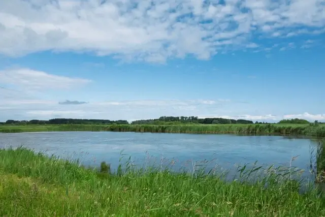 Kollumerwaard