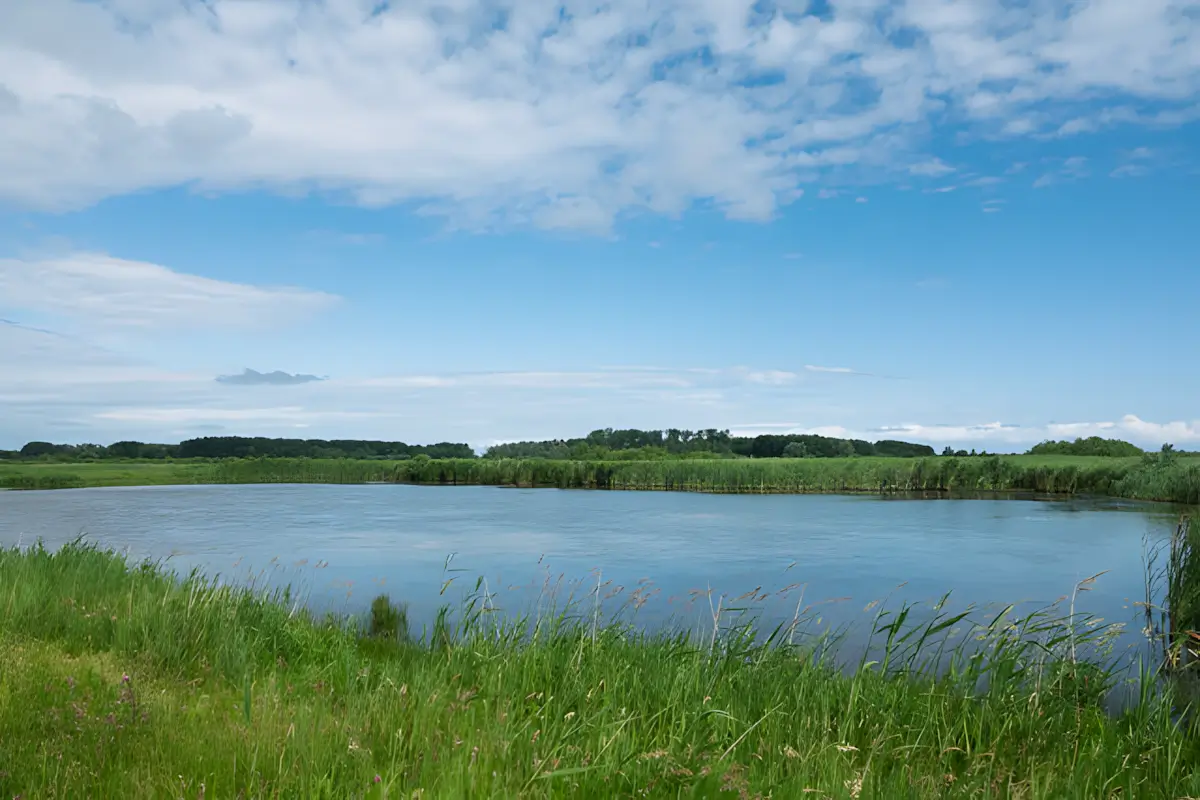 Kollumerwaard