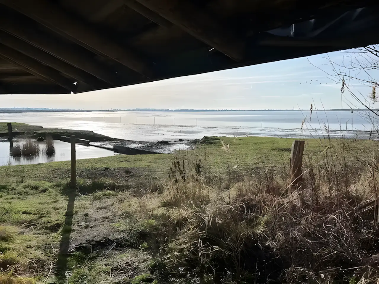 Vogelkijkhut aan natuurgebied markiezaat