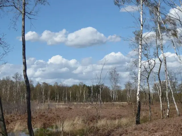 zicht op de deurnsche peel