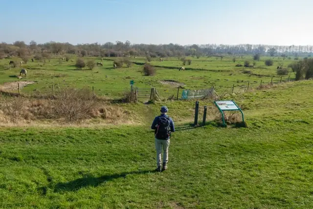 nice overview of the area