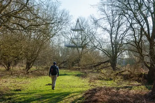 in the direction of the observation towerower
