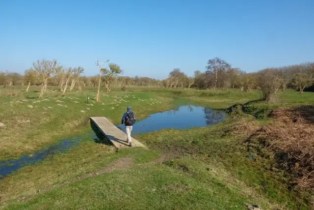 beautiful little bridge over a mudflat