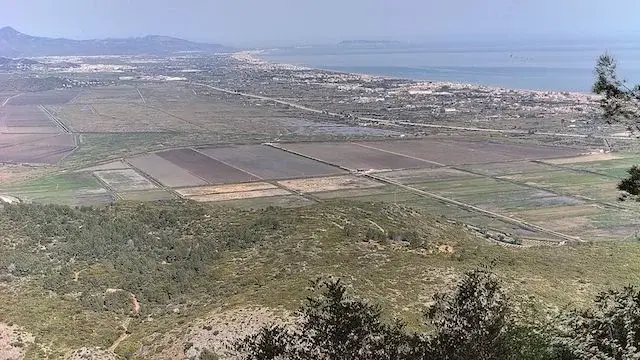 uitzicht op de rijstvelden van Pego