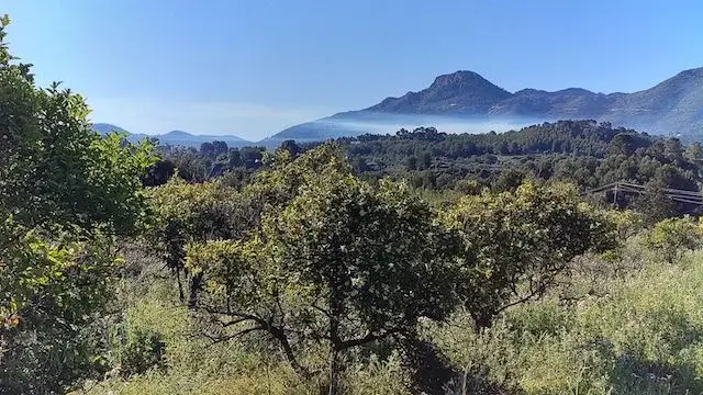 mooi zicht op het achterland
