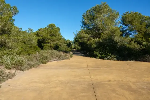 concrete path in the area