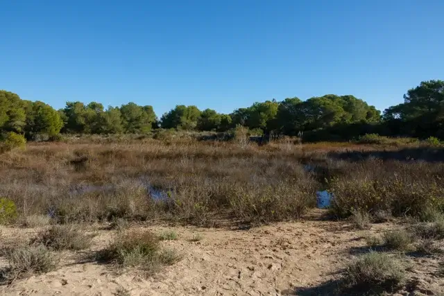 wet area in the nature park