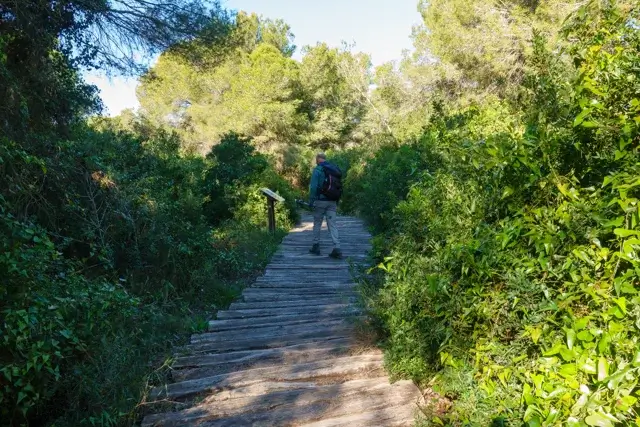 botanical path