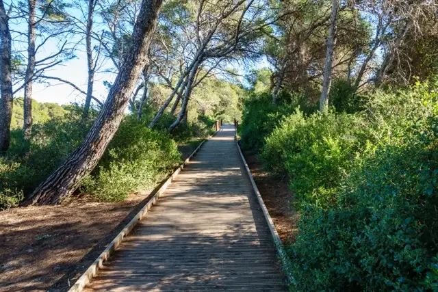 historical walking path with information boards