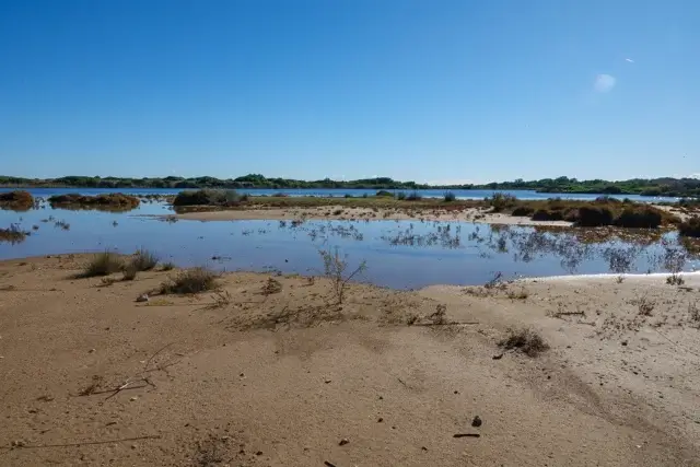 Estany del Pujol, an artificial lake