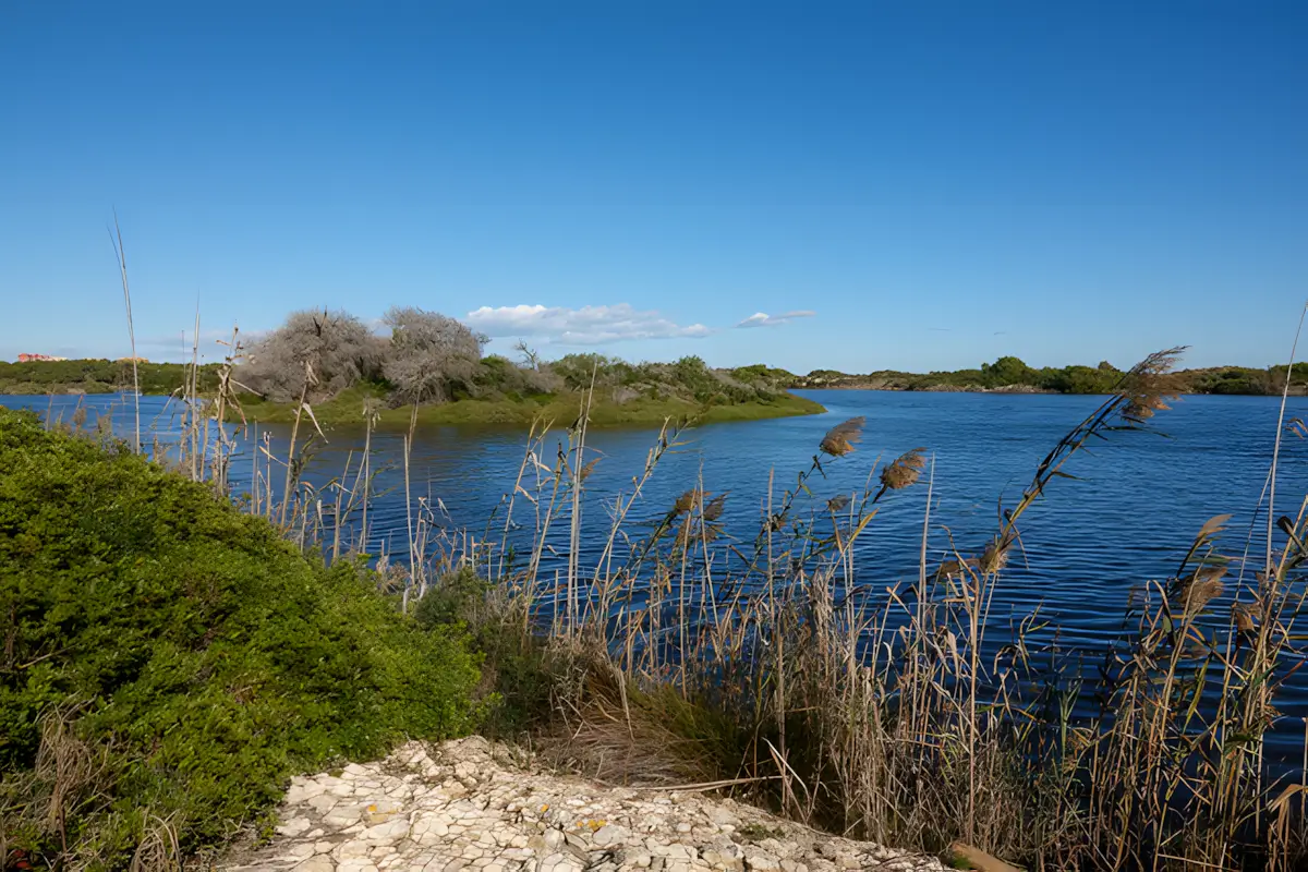Estany del Pujol