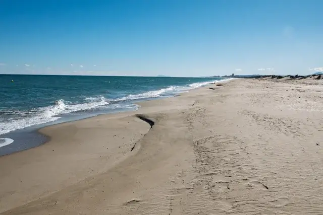 along the beach