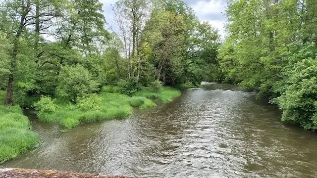 de ourthe