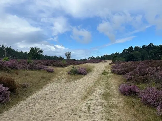 breed zandpad in de omgeving van de kraaienberg