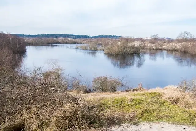 boompjesput