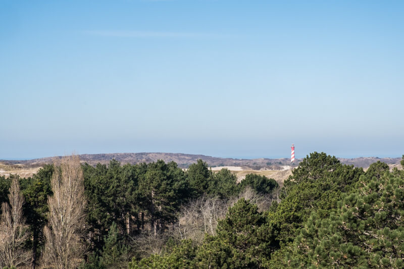 Zeepeduinen